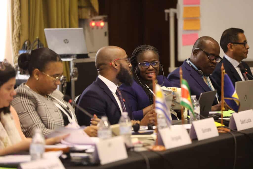 A regional workshop in Santiago, Chile brought together government officials, judicial and police authorities, national oversight bodies, and leading experts to share best practices and advance concrete reforms.